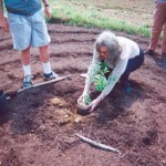 Photo of a Board Member planting a sapling.